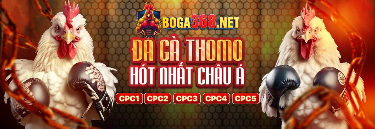 Các công cụ kiểm soát cờ bạc của mm9954