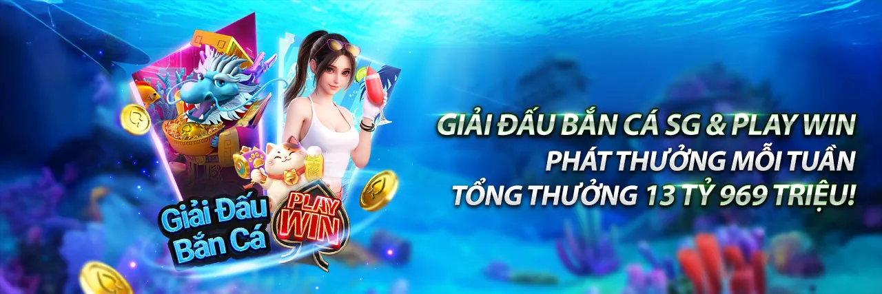 Chương trình Đại lý mm9954