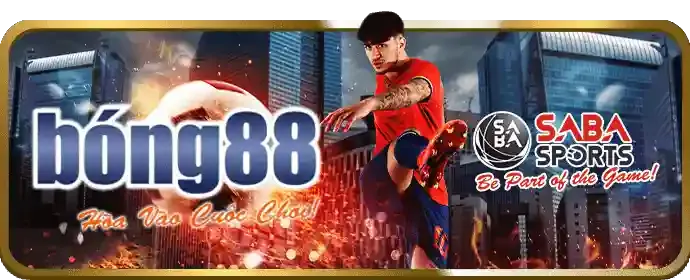 Giấy phép hoạt động hợp pháp